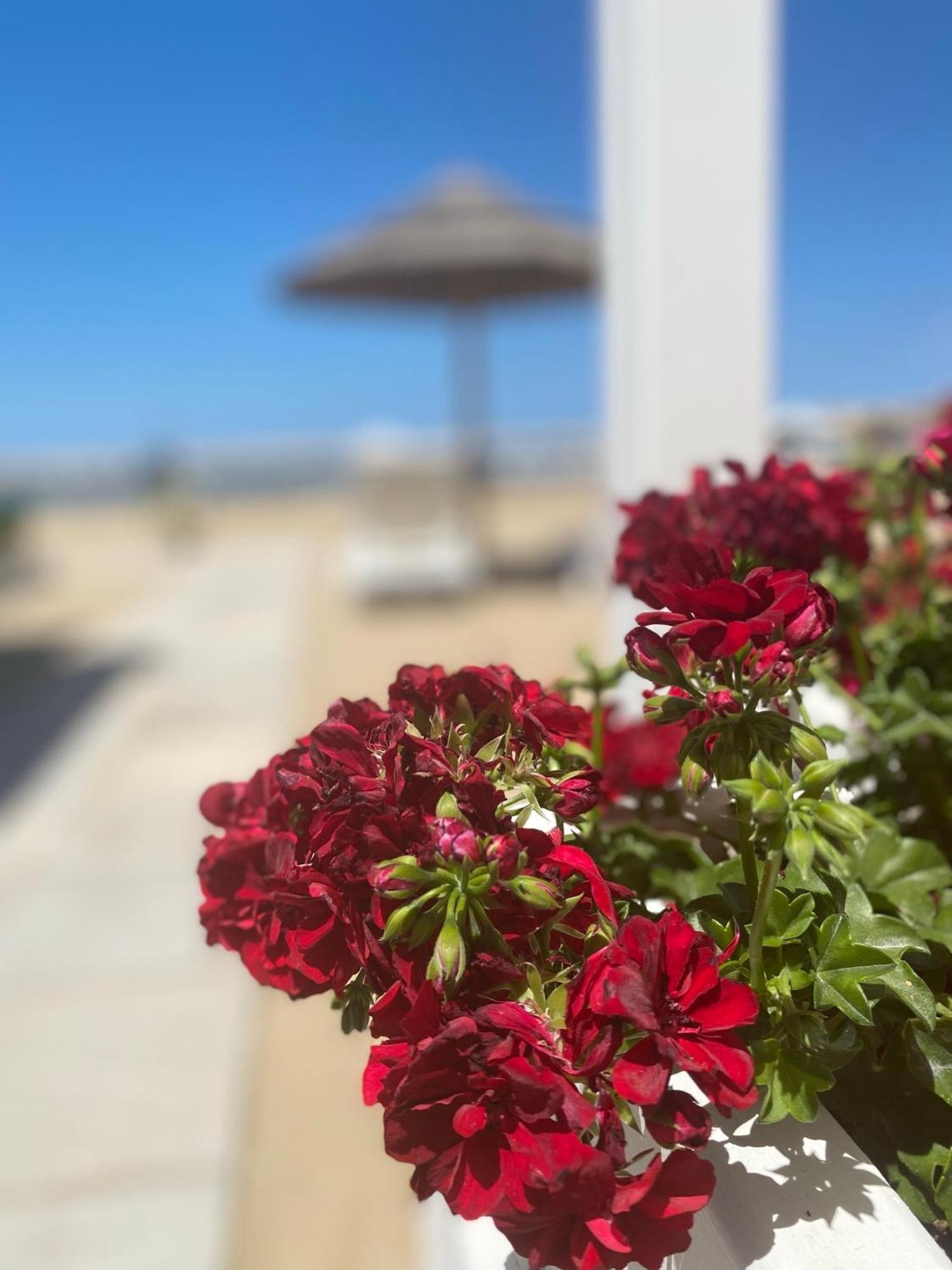 Marina Bay Beach Hotel Peschici Dış mekan fotoğraf
